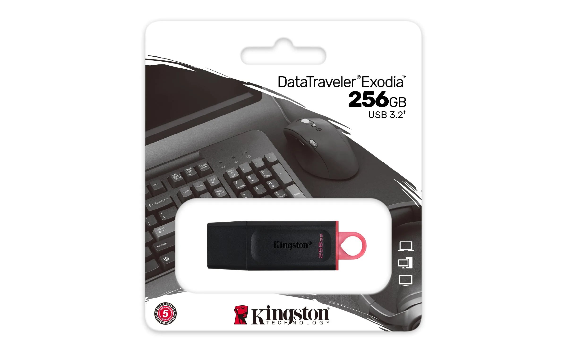 PENDRIVE KINGSTON 256GB DTX/256 USB 3.2