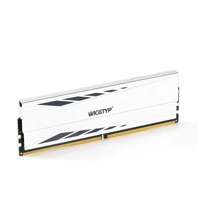 MEMORIA RAM WICGTYP 16GB DDR5 5600MHZ SILVER DISIPADOR