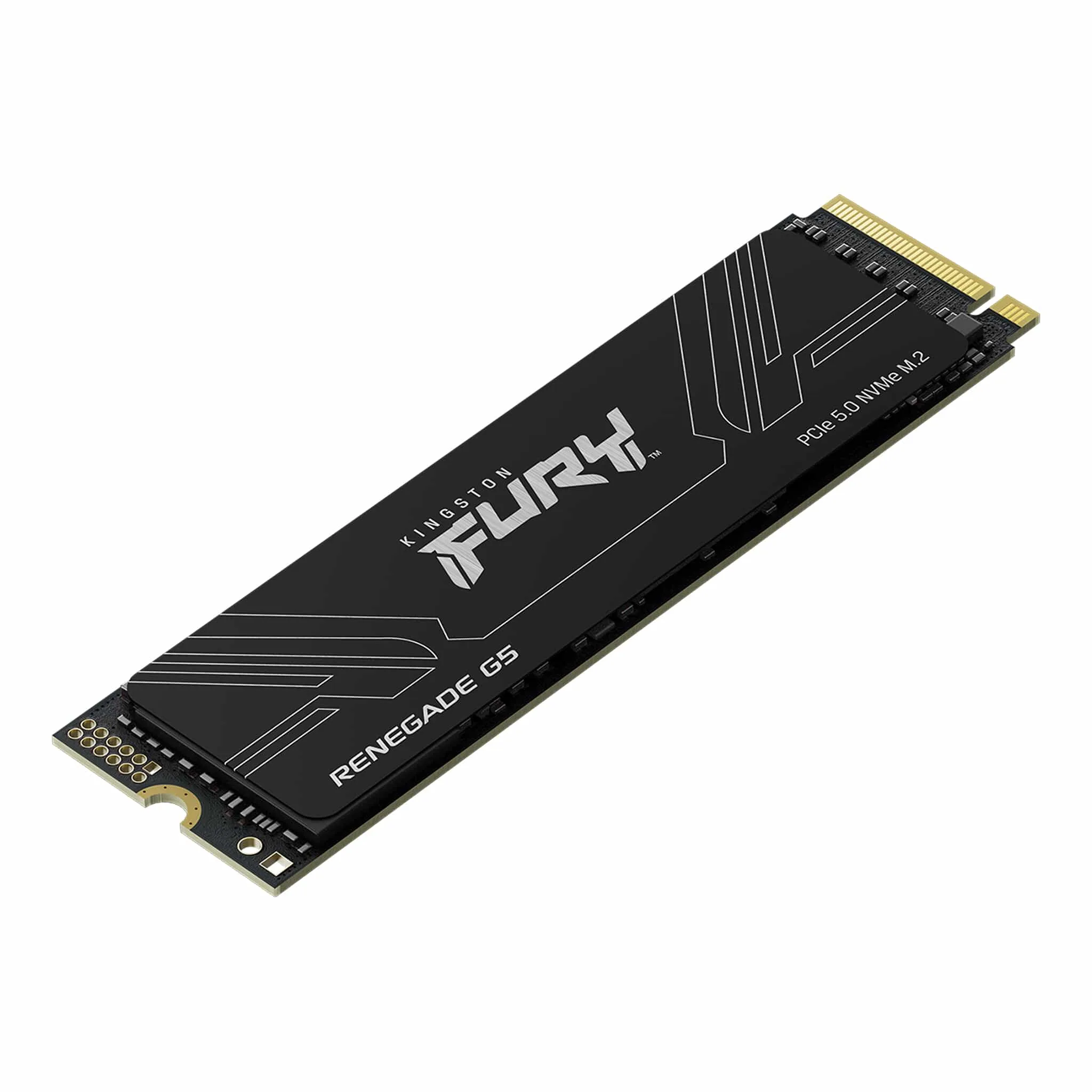 Disco SSD M2 Kingston 2Tb Fury Renegade G5 14700Mb/s Gen5 x4 NVME